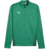 Puma Teamgoal Training 1/4 Zip Top sport green-white-power green (05) XS