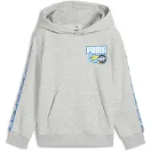 Puma X Hot Wheels Kapuzenpullover Grau 3-4 Years Junge Grau 3-4 Years