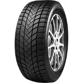 Mastersteel Winter Plus 205/55 R17 95H Winterreifen