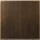 JUNG LS Serie Antik Messing Steuerabdeckung - ME1700AT