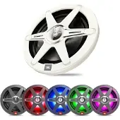 JBL Club Marine 10" | 25cm Passiv Subwoofer | Boot