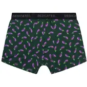 DEDICATED - Boxer Briefs Kalix Egg Plant - Alltagsunterwäsche Gr S grün