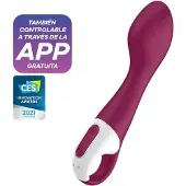 Satisfyer Hot Spot Vibrator 1 St