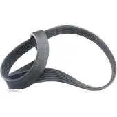 CONTITECH Keilrippenriemen 7pk1035 für BMW INFINITI NISSAN RENAULT