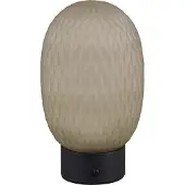 TRIO Leuchten LED Akku Tischleuchte Facette 564210115, Metall Schwarz matt, Glas grün, inkl. 1.5 Watt LED, USB-Anschluss, 4-fach Touch