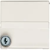 ABB Busch-Jaeger Adapterplatte mit Text und Schloss IP44 - 2CKA001710A3791