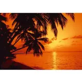 Papermoon Fototapete "Tropic Sunset", bunt, B:3,5m L:2,6m, Vlies, Tapeten, Fototapete