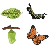 Cycplus Life Cycle Butterfly Play Figur Set Set