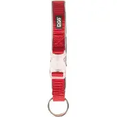 Dog Gone Smart Comet Dog Rechargeable Light Hundehalsband