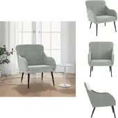 vidaXL Sessel Hellgrau 63x76x80 cm Samt - Sessel