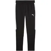 Puma Jogginghose Team Evostripe