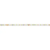 Brumberg 15573003