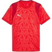 Puma Teamcup Trikot Kurzarm Herren - Rot