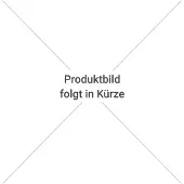 BAMATO elektrische Schubkarre MTR-200