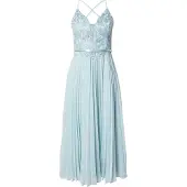 Vera Mont Abendkleid "Damen mit Stickerei" Ohne Tasche Plissee