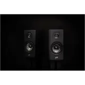 Polk Audio Reserve R100, Kabelgebunden, 44 - 50000 Hz, 3,6 Ohm, Schwarz