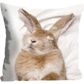 Queence Dekokissen "Ketut", braun (braun, bedruckt), B:40cm L:40cm, Polyester, Dekokissen_Sitzkissen_Kissenhüllen, Dekokissen, mit einem schlafenden Hasen