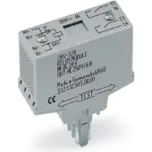 Wago 286-328/004-000 Relaismodul,Eingangsnennspannung DC 24 V,2 Schließer,grau 286328004000