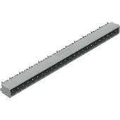 Wago 231-484/001-000
