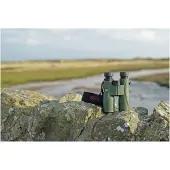 Kowa Fernglas SV II 50-10 SV II 10x50mm grün