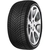 Imperial Collection Imperial Ganzjahresreifen motorcycle-tyres All Season Driver ( 205/55 R16 91H )