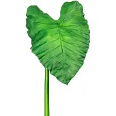 Creativ Green Kunstzweig "Callablatt", grün, H:105cm, Kunststoff, Kunstpflanzen, Kunstzweig