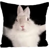Queence Dekokissen "Hugging Bunny", mit einem kuschelbedürftigen Hasen