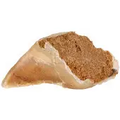 Trixie Kauhuf 115 G 25 Einheiten