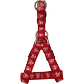 Athletic Club Hundegeschirr