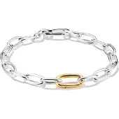Thomas Sabo Charm-Armband "Charm Club Connect: mit einem Connect Link" Gr. 17, gold (silberfarben, gelbgoldfarben), Armbänder, Damen, 17, Silber 925 (recycelt), Charm-Armband