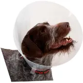 Kruuse Transparent Classic Collar - Größe 5