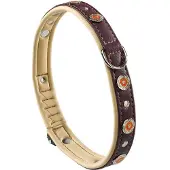 Ferplast Circus 25 Mm 51-49 Cm Hundehalsband