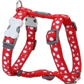 Red Dingo Style Moles Hundegeschirr
