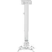 Aisens Cwp01tse-049 Maximale Decken-/wandhalterung 20kg