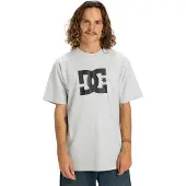 Dc-shoes T-Shirt "DC Star", Herren, Gr. L, grau (light erdgrau), Obermaterial: 75% Baumwolle, 25% Baumwolle., Shirts T-Shirt