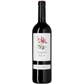 Alvaro Palacios Camins de Priorat 2024