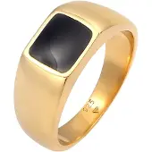 Elli Ring Siegelring Emaille Rechteck Klassik 925 Silber Elli Gold