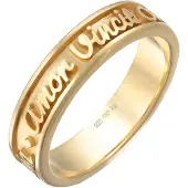 Elli Silberring "Ring Bandring Worte Amor Vincit Omnia 925 Silber" Gr. 54, gold, Fingerringe, Damen, 54, Silber 925 (Sterlingsilber), Silberring