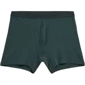 Armedangels RICAARD BOXERSHORTS | TENCELTM Modal Mix - grün (M)