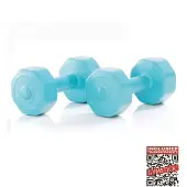 Active Vinyl S 2 X 5kg Hantel