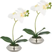 Creativ Green Kunstorchidee "Orchidee Phalaenopsis" mit dauerhafter Blütenpracht