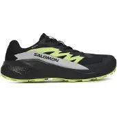 Salomon Schuhe Alphaglide Gtx 478020