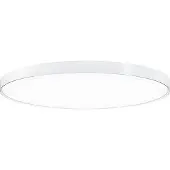 Zumtobel Rundleuchte 42184855