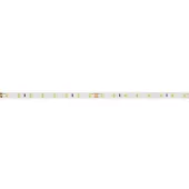 Brumberg 15571003