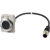 Eaton 185994 Drucktaste, flach, rastend, 1 Ö, Kabel (schwarz) mit M12A-Stecker, 4-polig, 1 m, schwarz, unbeschriftet, Frontring Metall