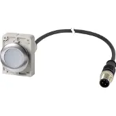 Eaton 186003 Leuchtdrucktaste, flach, tastend, 1 S, Kabel (schwarz) mit M12A-Stecker, 4-polig, 1 m, LED weiß, weiß, unbeschriftet, 24 V AC/DC