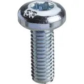 Schneider Electric Spacial SF/SM-Torxschrauben, M6, 16mm, NSYST30M6