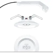 Zumtobel 42185651 Sicherheitsleuchte RESCLITE PRO MRCR SPOT ECD WH