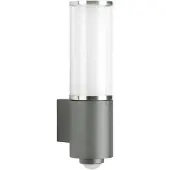 Albert 620320 Wandleuchte Typ Nr. 0320 - Edelstahl/anthrazit, mit BWM für 1 x Lampe max. 20 W, E27, 2 Ersatzgläser: 90260370 und 90210309