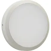 Albert LED Wandleuchte in Weiß 24W 2400lm IP54